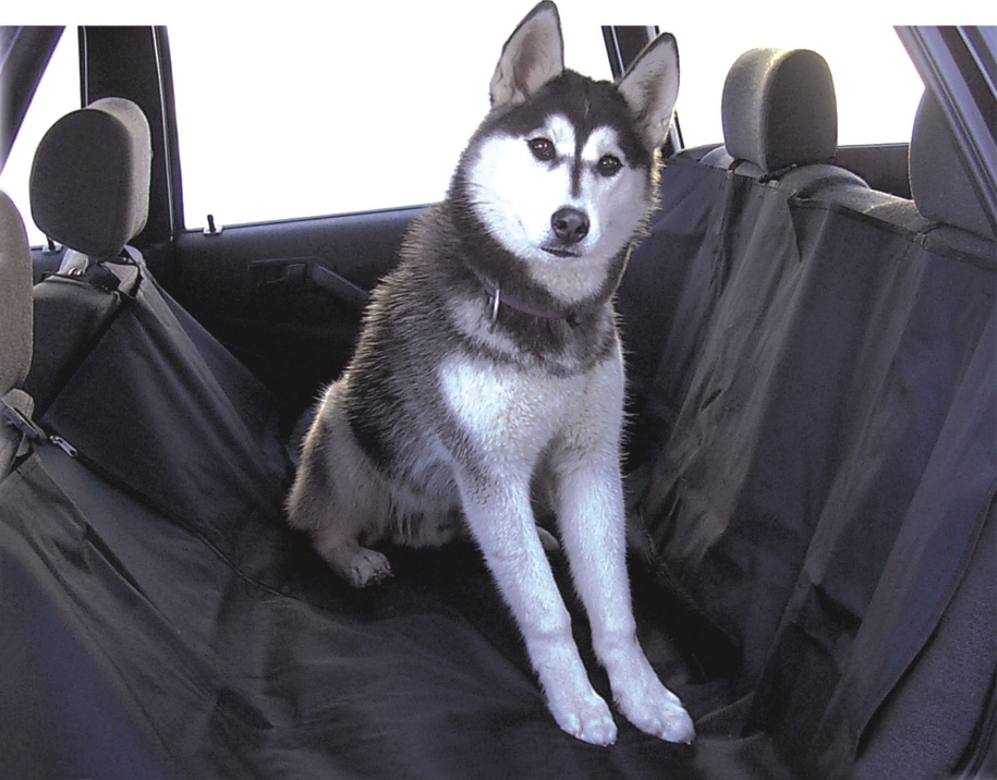 pet mat