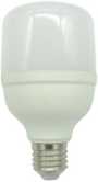 NINGBO QINCHENG FOREIGN TRADE CO.,LTD. – tubo fluorescente 2