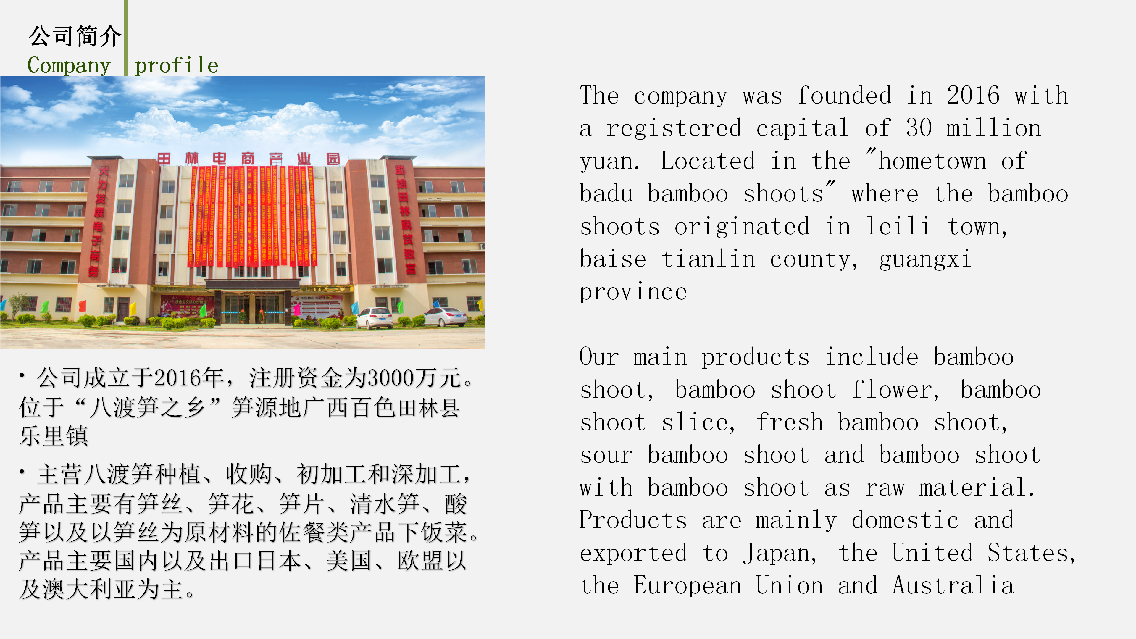 Guangxi Tianlin Hongshi Agricultural Development Co., Ltd. – ginger products 2
