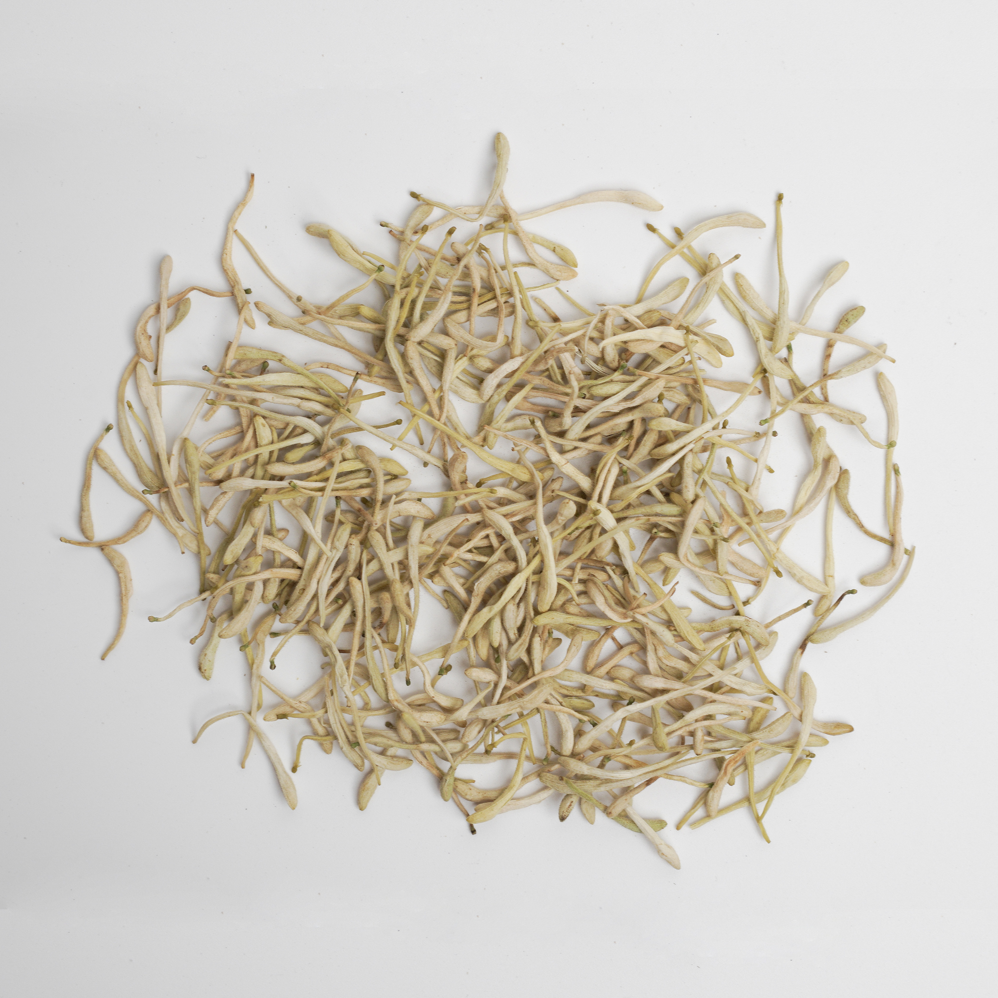 Flos Lonicerae Japonicae