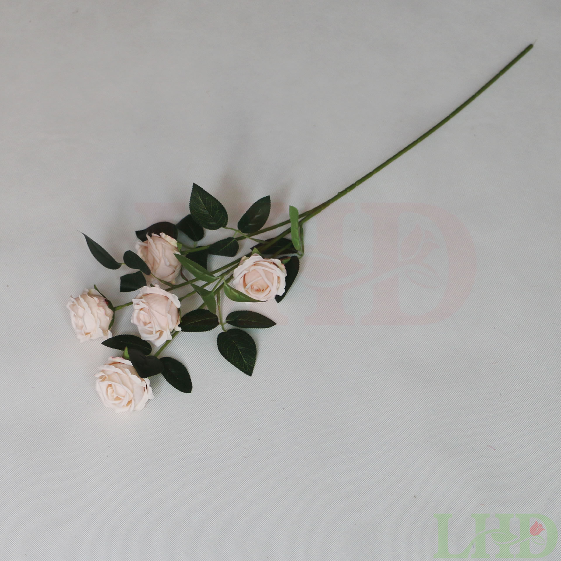 LHD CO., LTD – EU 3