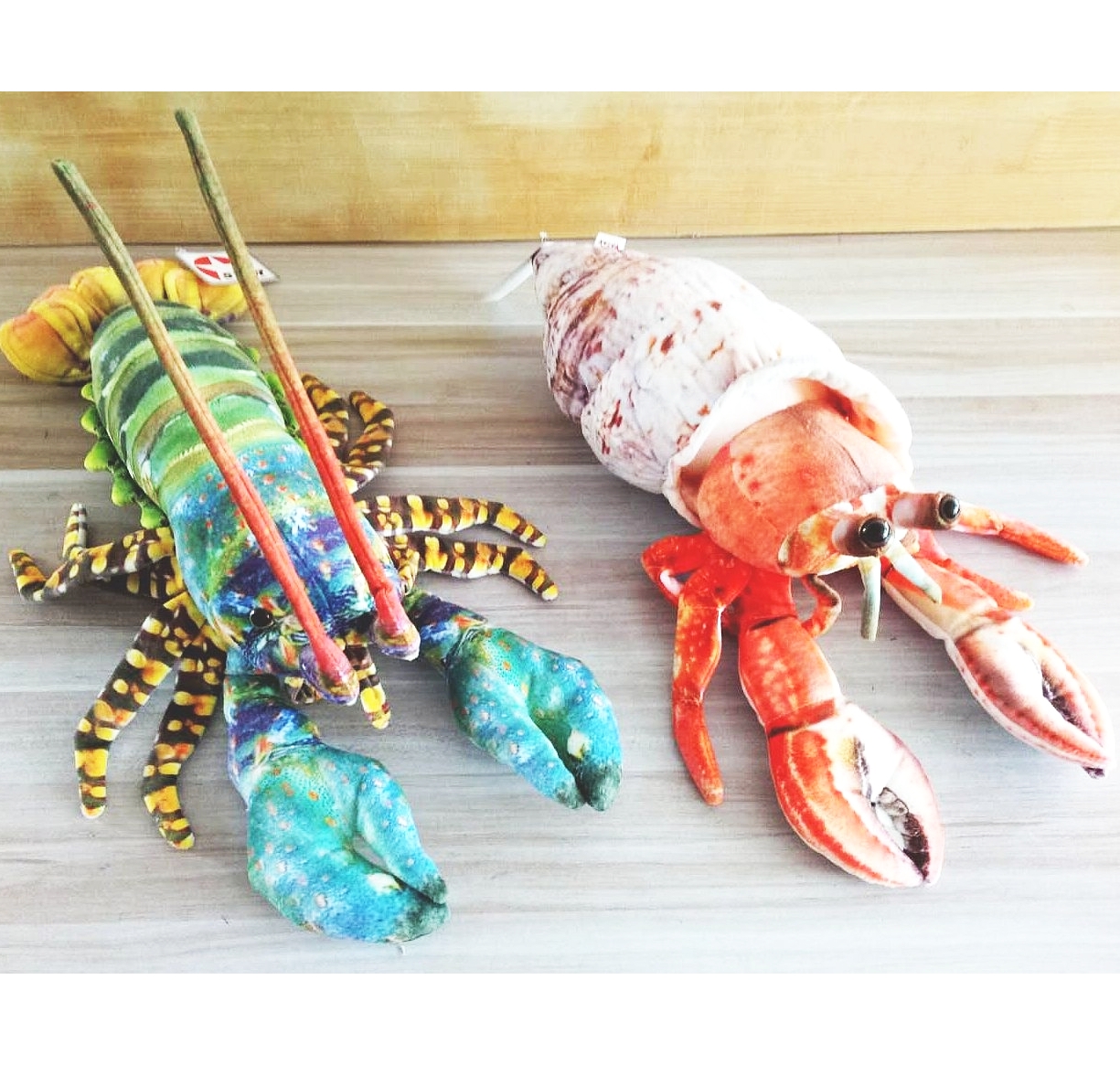 Lobster / Hermt Crab