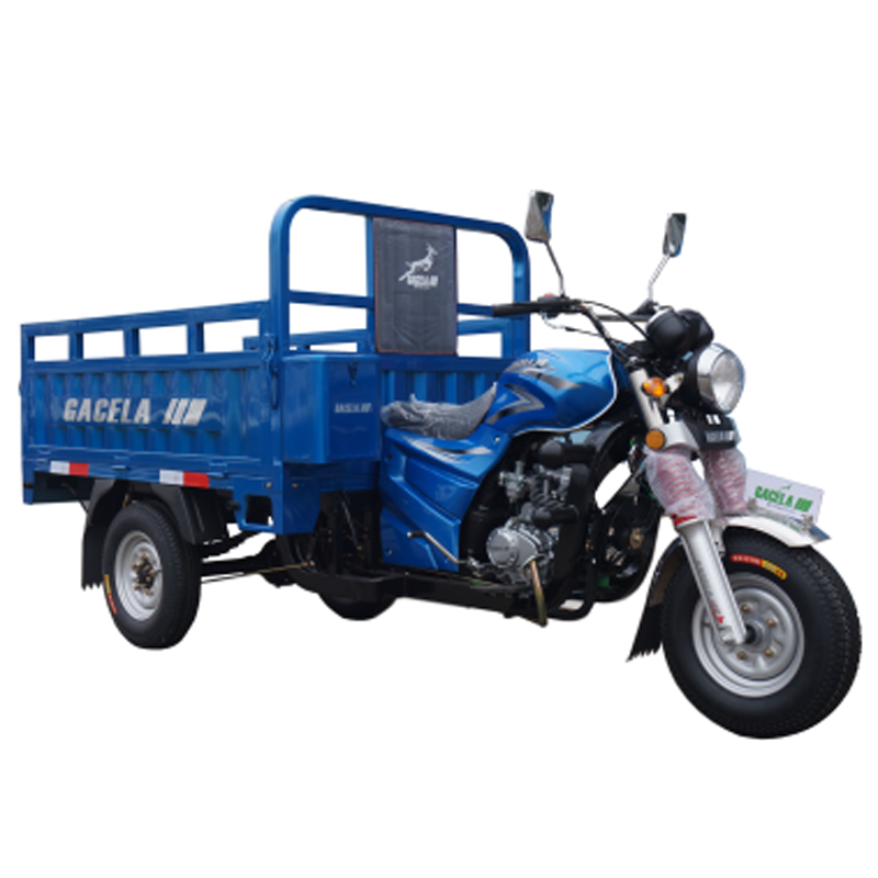 LJ200ZH -1 tricycle