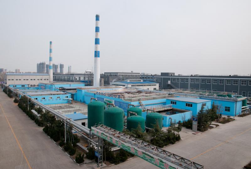 Shandong New Silk Road Industrial and Trade Co., Ltd. – Photos produits 2
