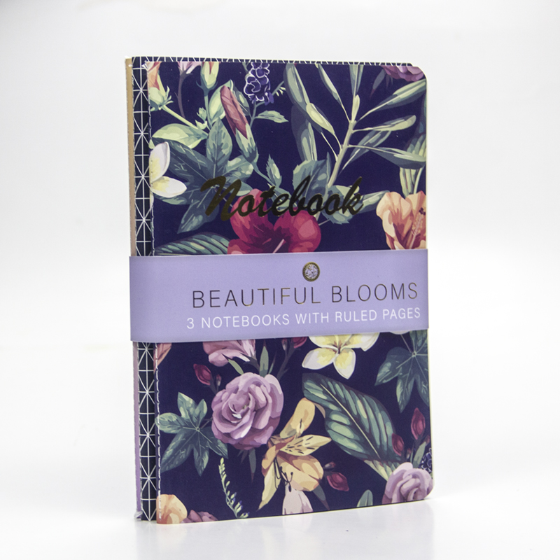 3pcs notebooks as one set