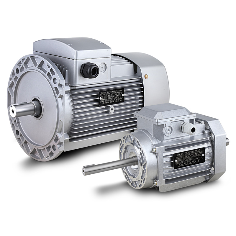 Tye4 Permanent Magnet Synchronous Motor