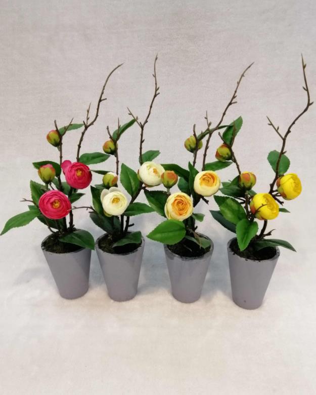0123#potted Tea Rose