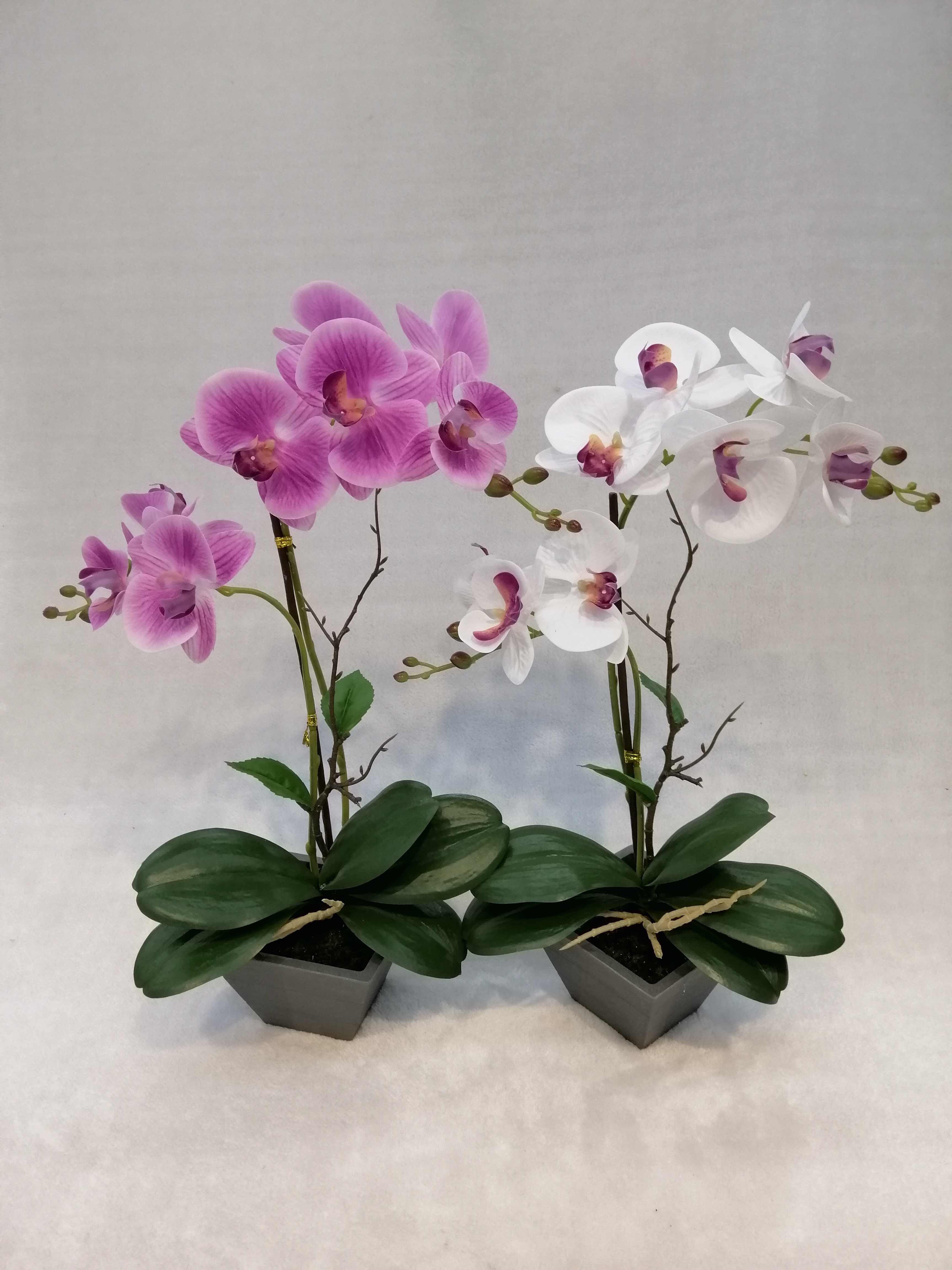 072#（rubber）potted Orchid