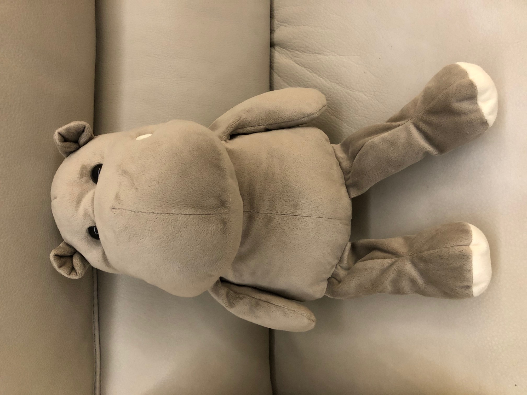 TOY