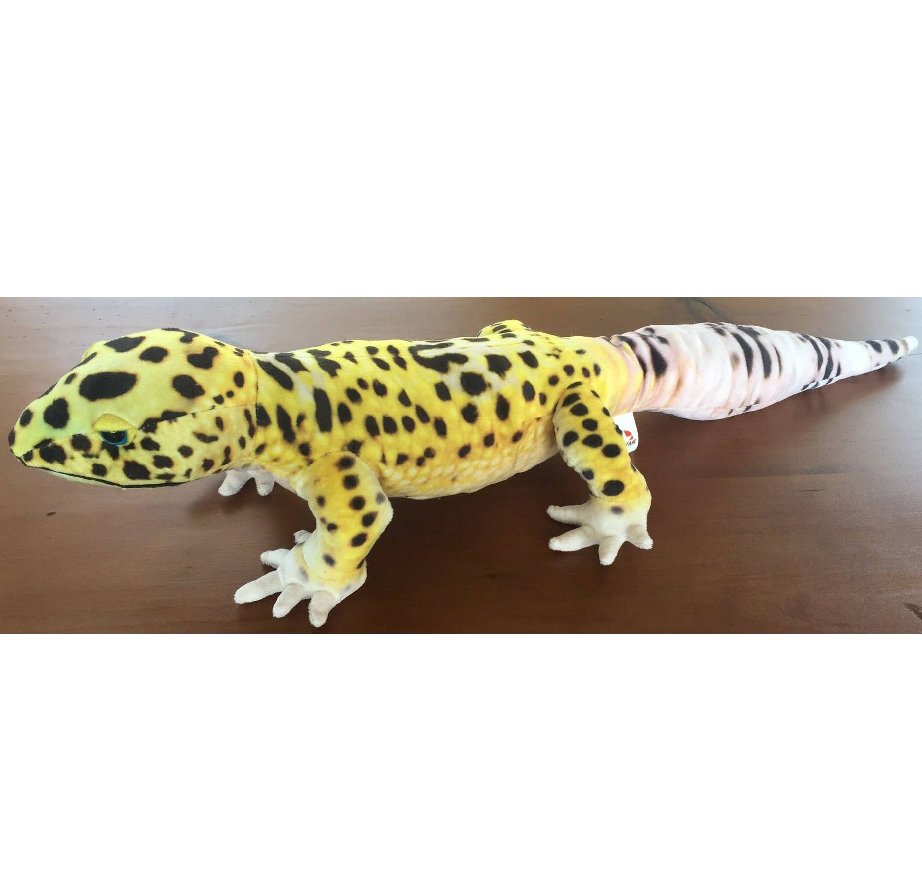 Leopard Gecko
