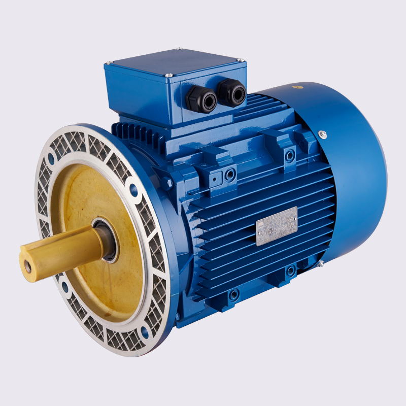 B5 6 pole-three phase asynchronous motor