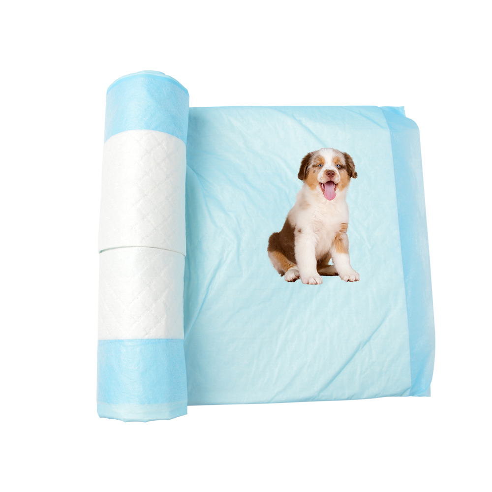 Good absorption Puppy pad
