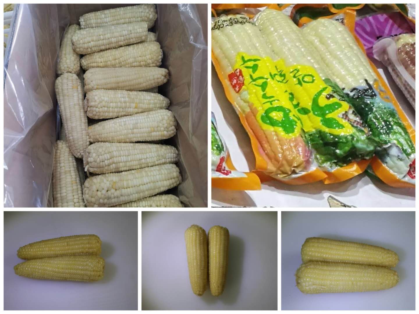 Zhangjiakou City Henghong Food Co.,LTD – bicicleta de montaña 3