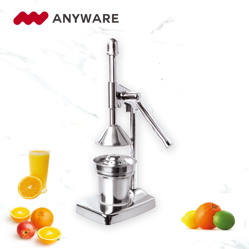 Fruit Juicer