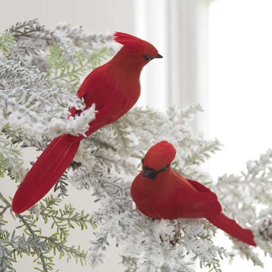 Xmas Decoration