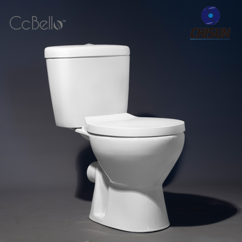 Washdown One piece toilet