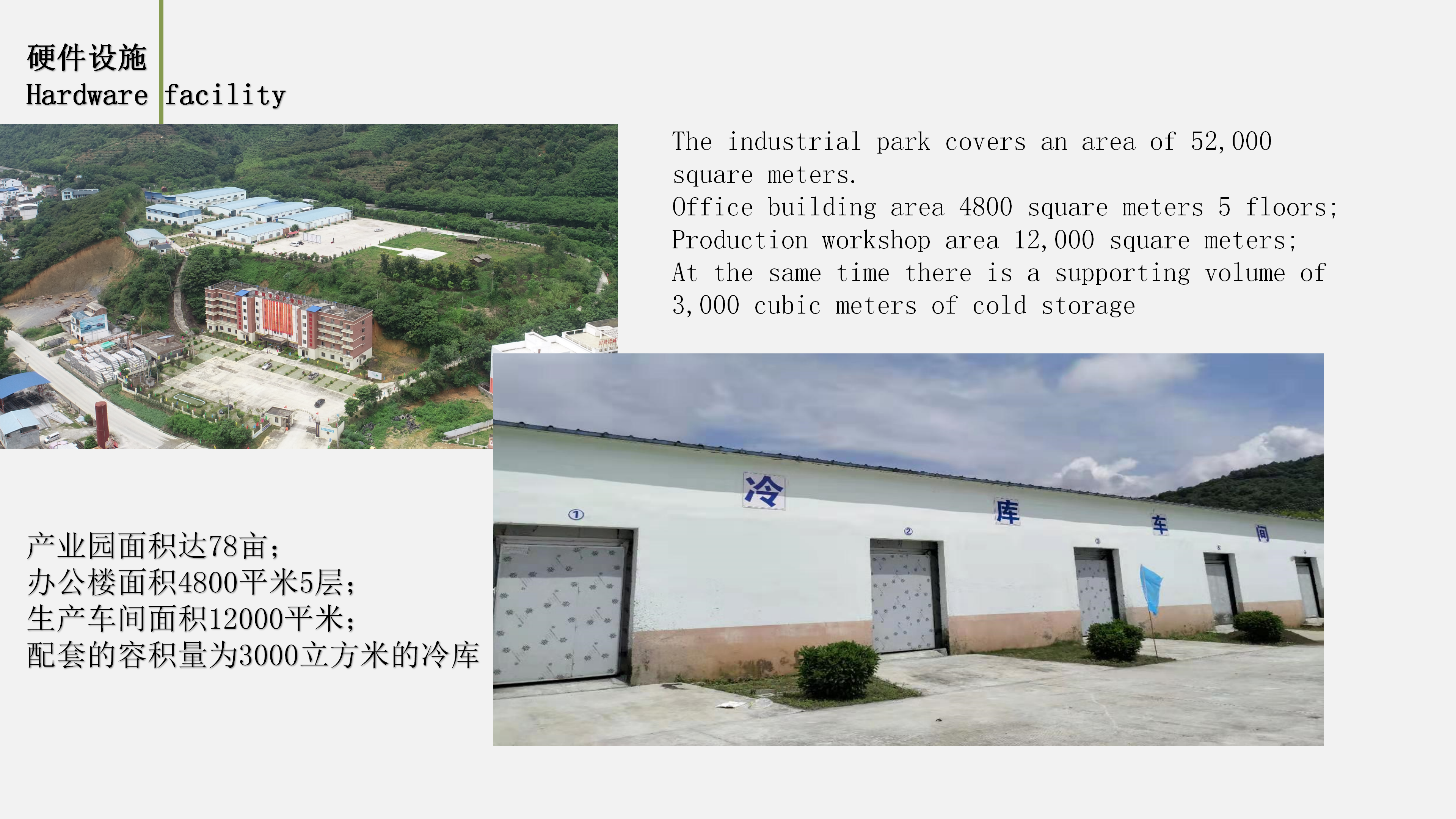 Guangxi Tianlin Hongshi Agricultural Development Co., Ltd. – Product photos 3