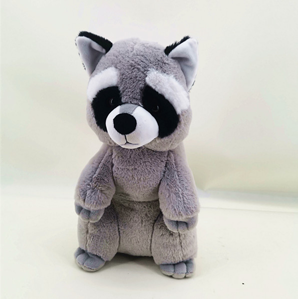 raccoon