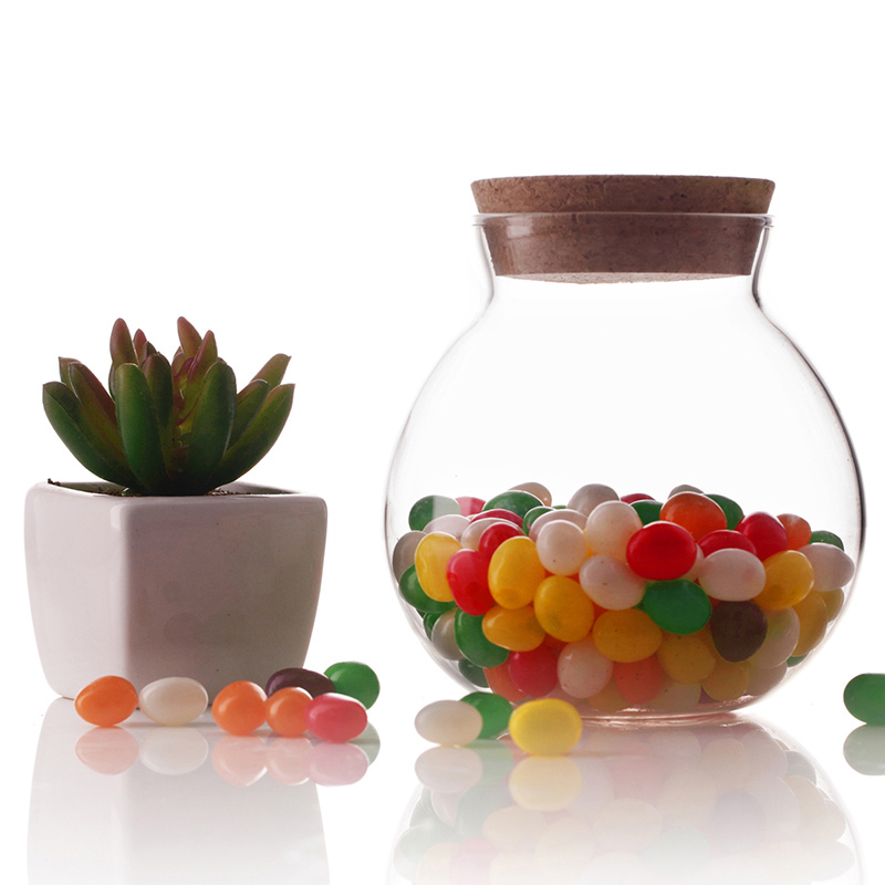 Borosilicate glass storage jar