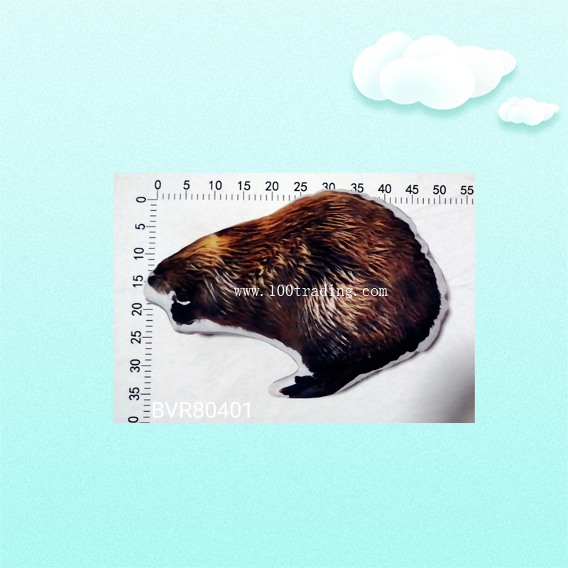 beaver