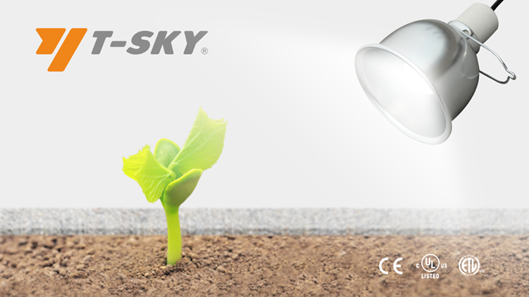 Shenzhen Tianyu Hardware and Electrical Co., Ltd. – professional lighting fixtures 2