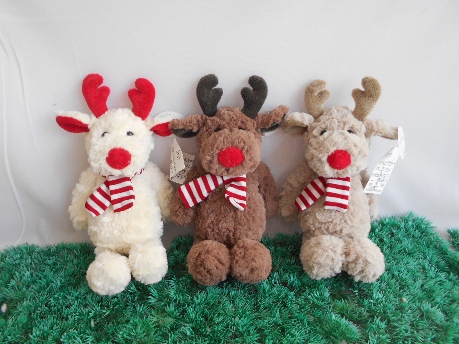 Reindeer