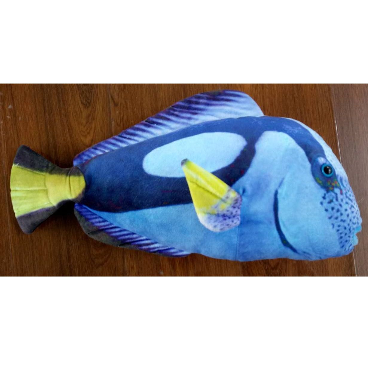 Tropical Fish