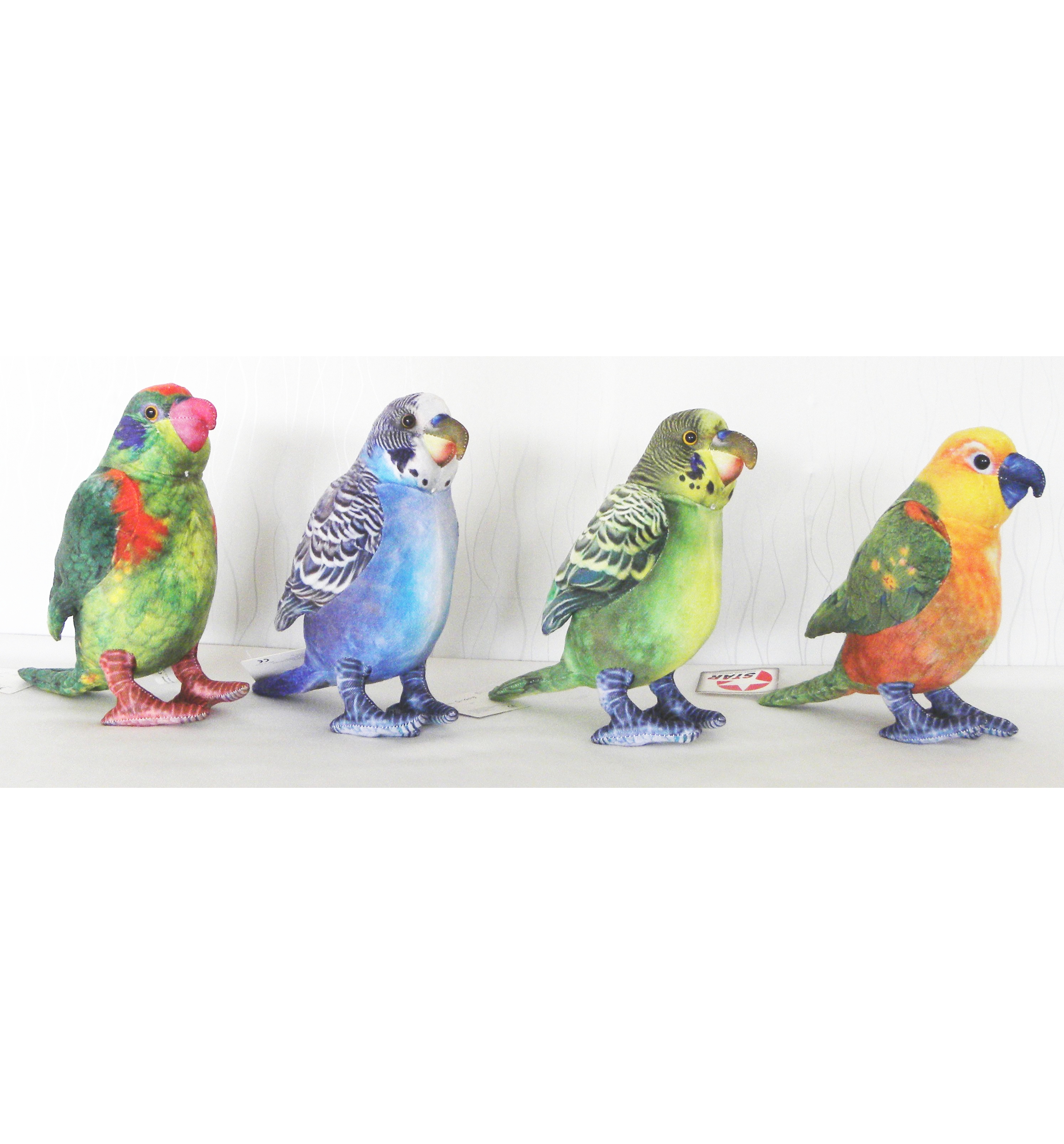 Parrot