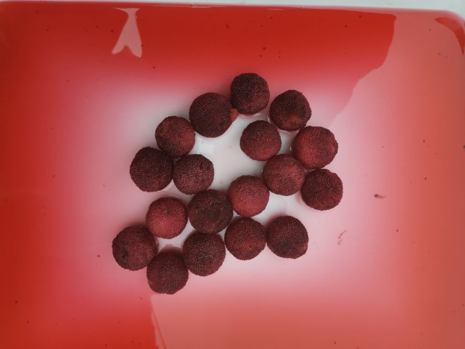 Canned Arbutus