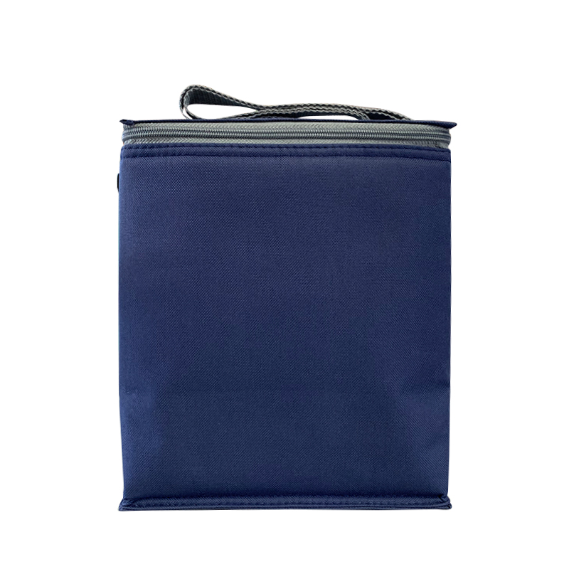 6 Bottle cooler bag