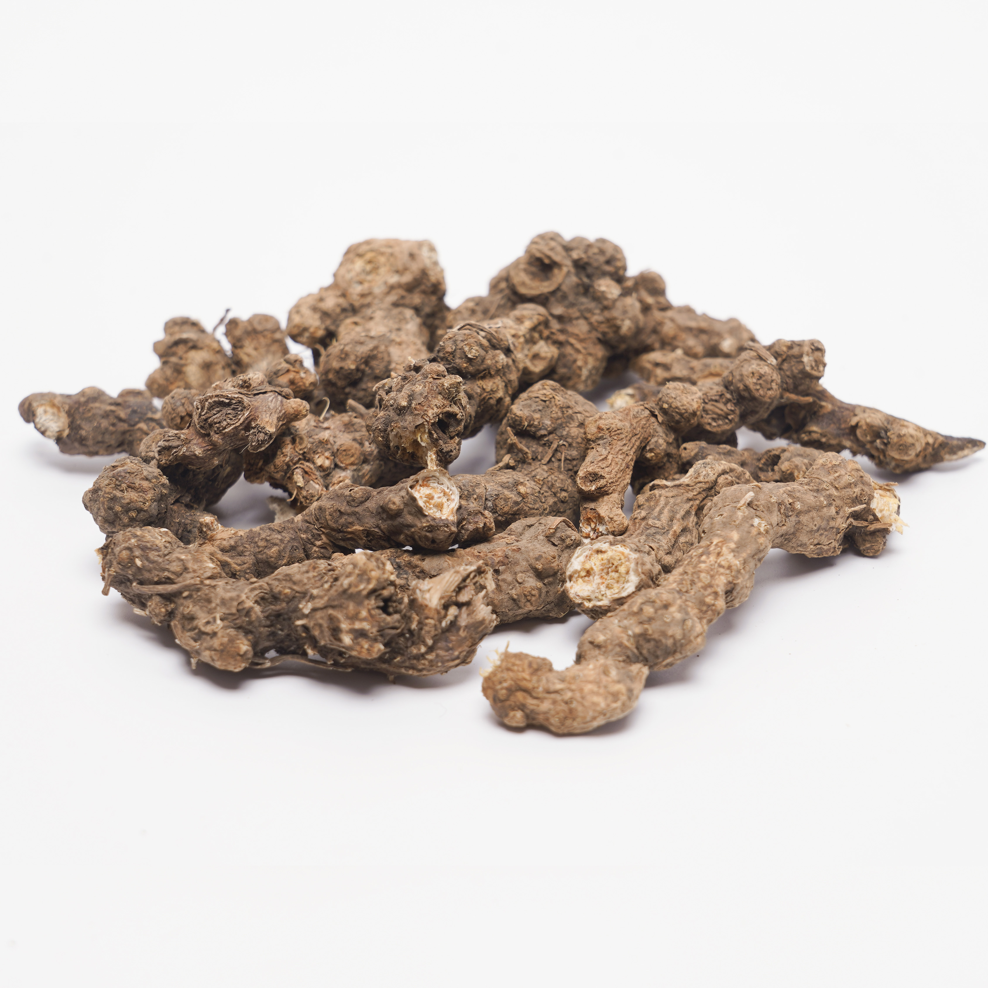 Rhizoma Atractylodis