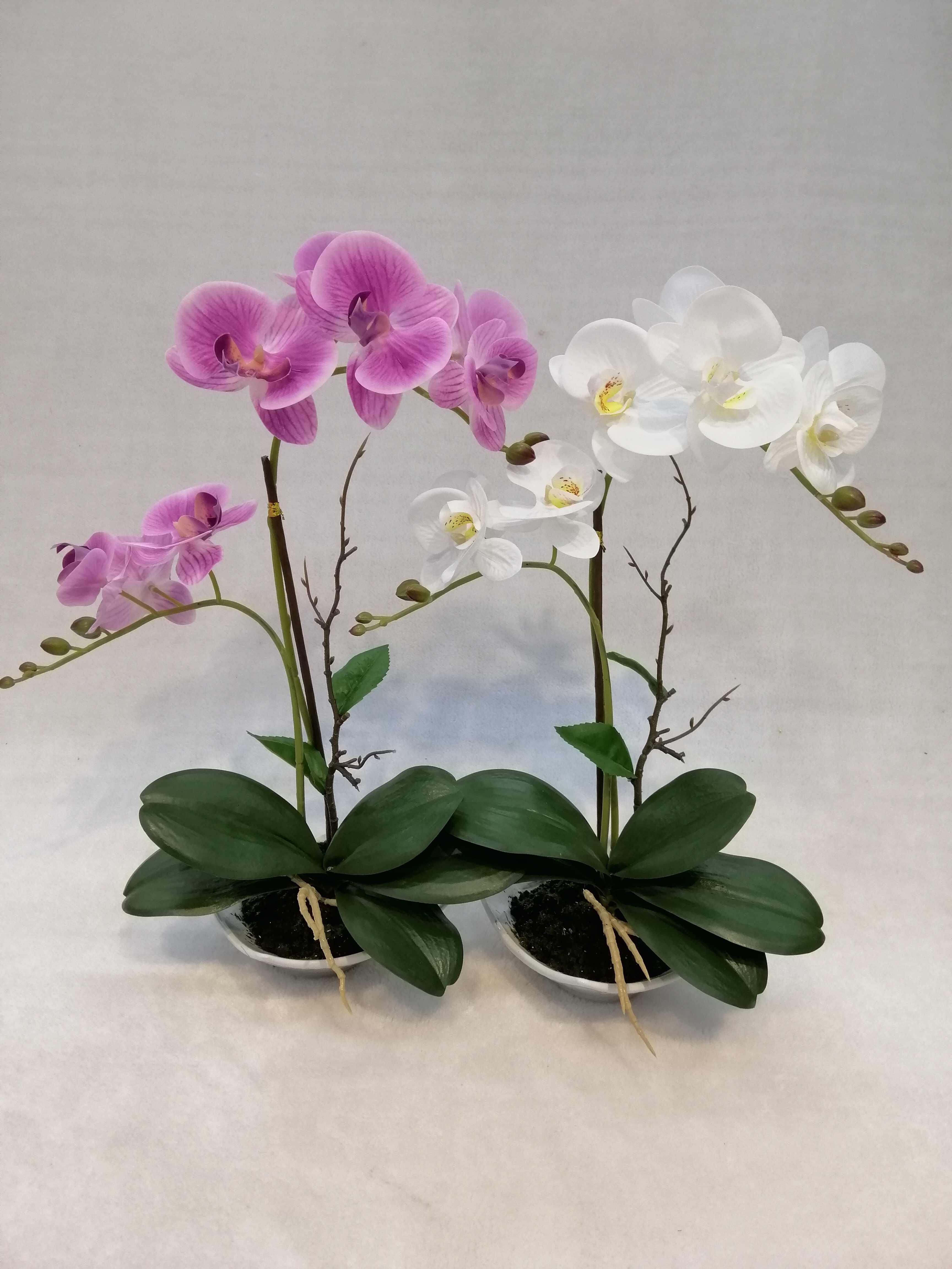 080#(Rubber）potted Orchid