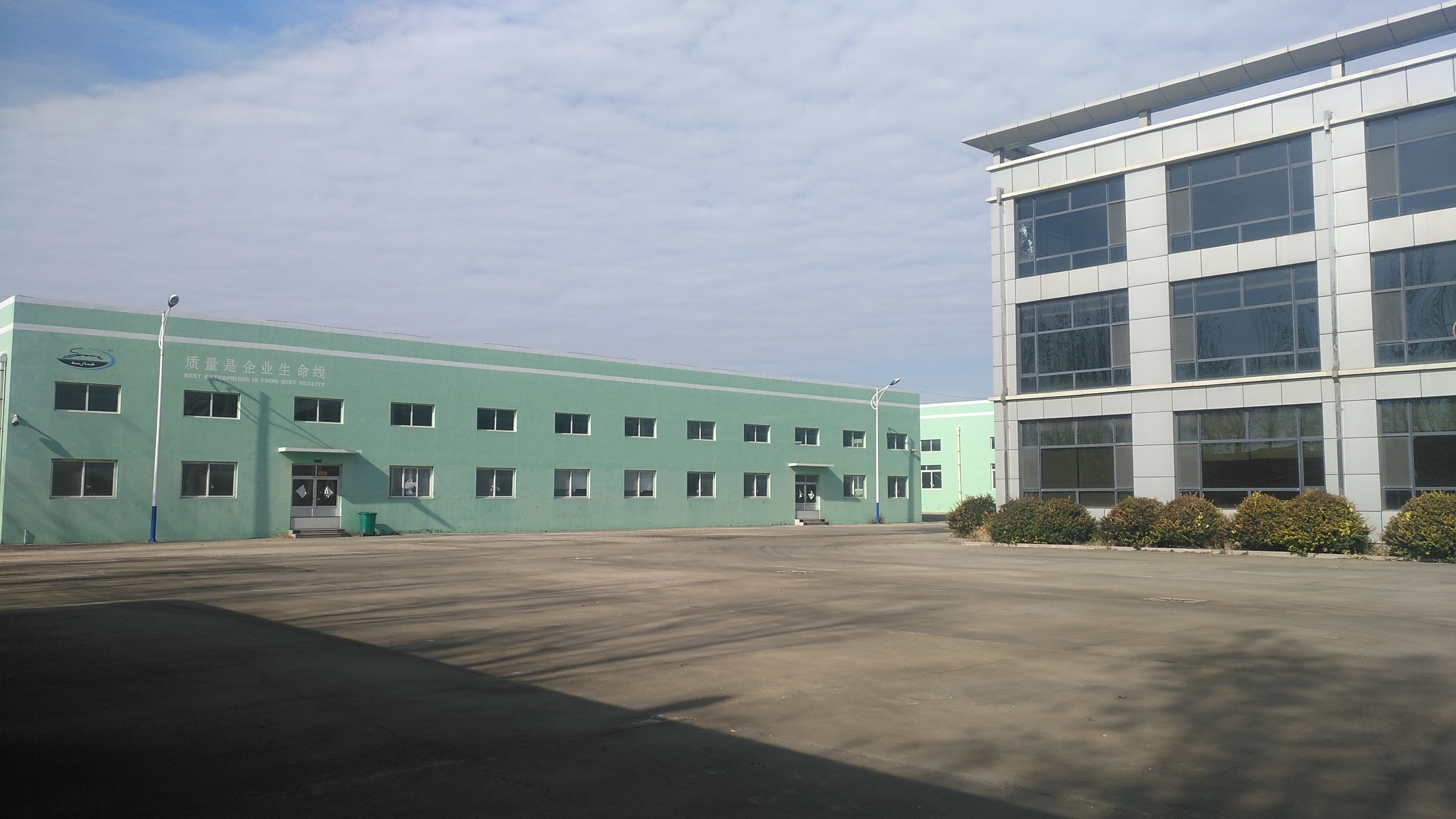 Weihai Xinhua Mei International Trade Co., Ltd. – pumpkin seed kernels 2
