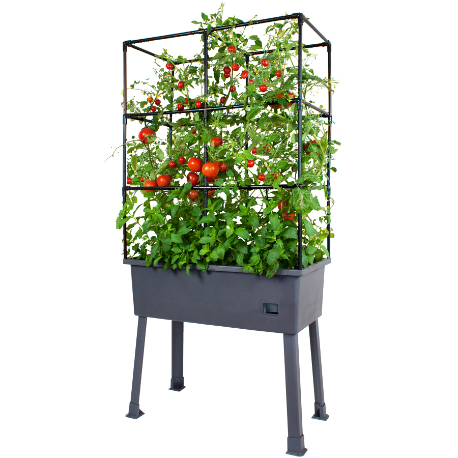Large raised garden bed