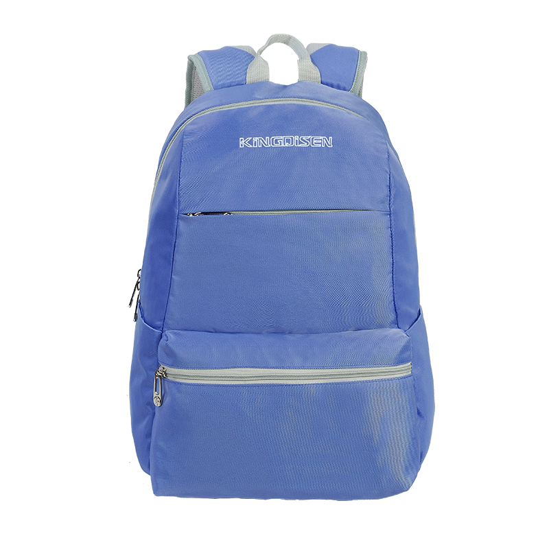 Wholesale Custom Logo Eco-Friendly Polyester Laptop Bags For Unisex Leisure Backpack