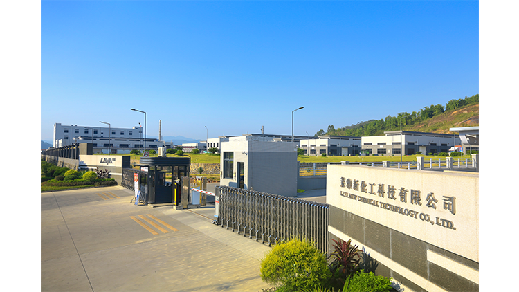 Guangdong Laiya Chemical Co., Ltd. – Carburetor cleaner 1