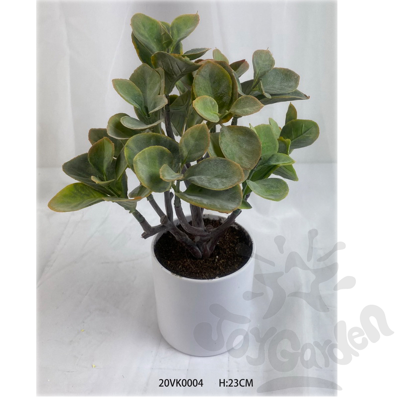 Artificial Plants