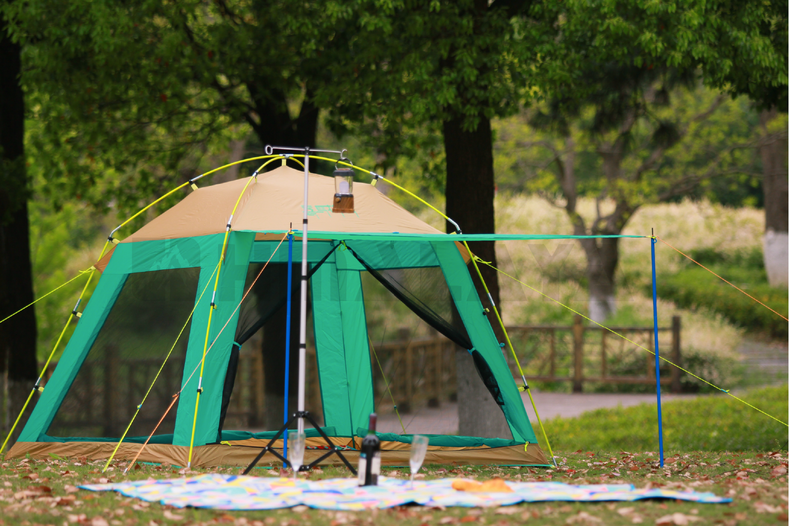 screen tent