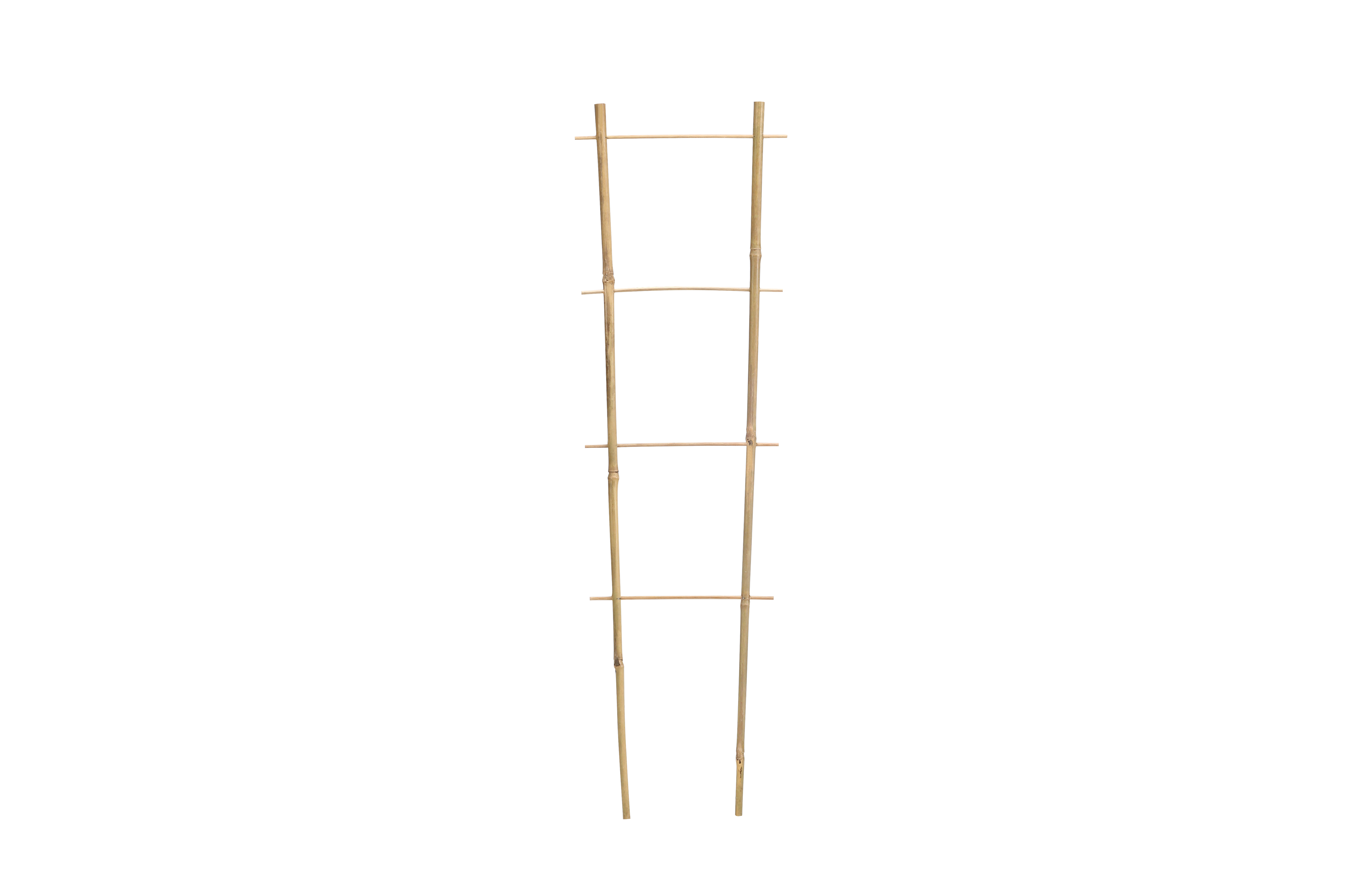 Bamboo Ladder