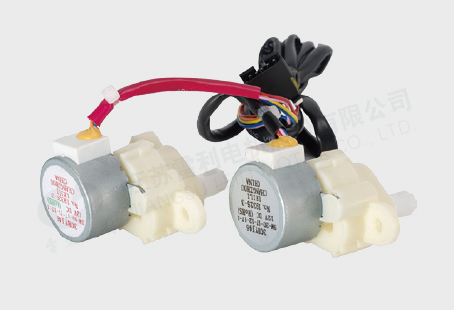 Jiangsu Leili Motor Co.,Ltd. – Other Motor 2