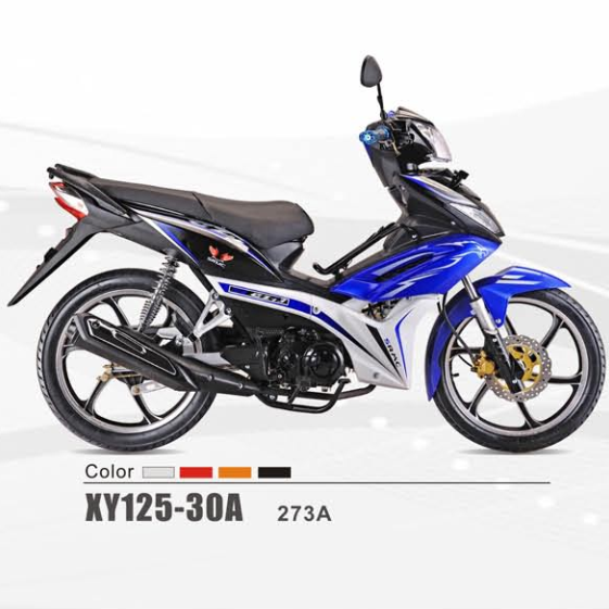 XY125-30A