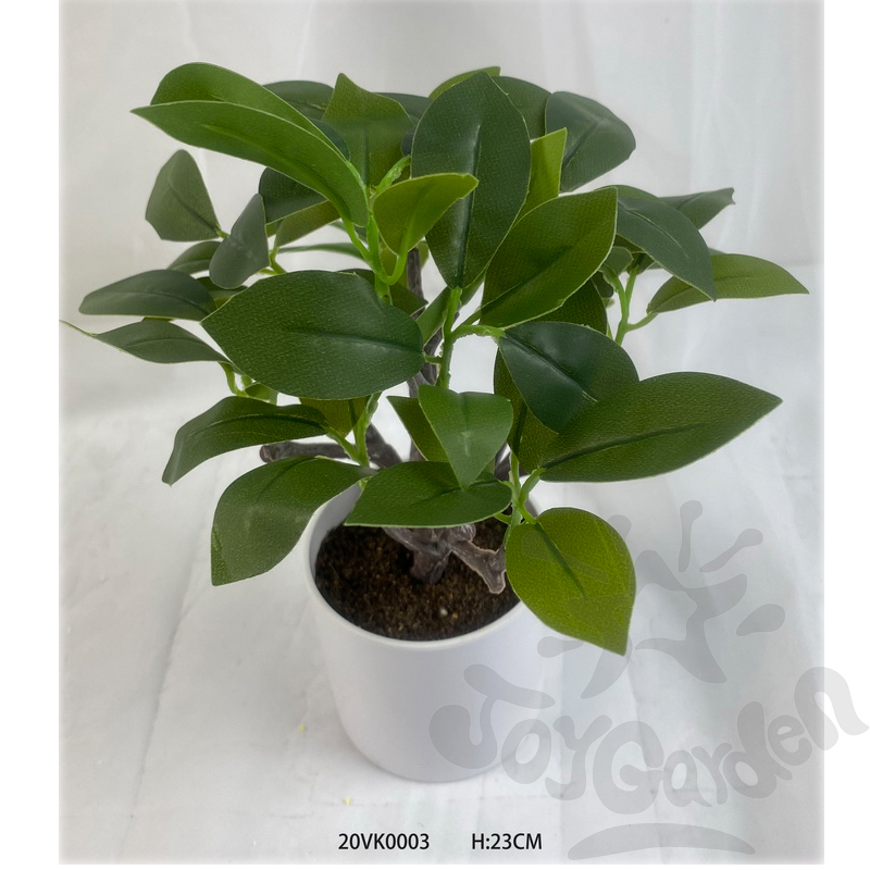Artificial Plants