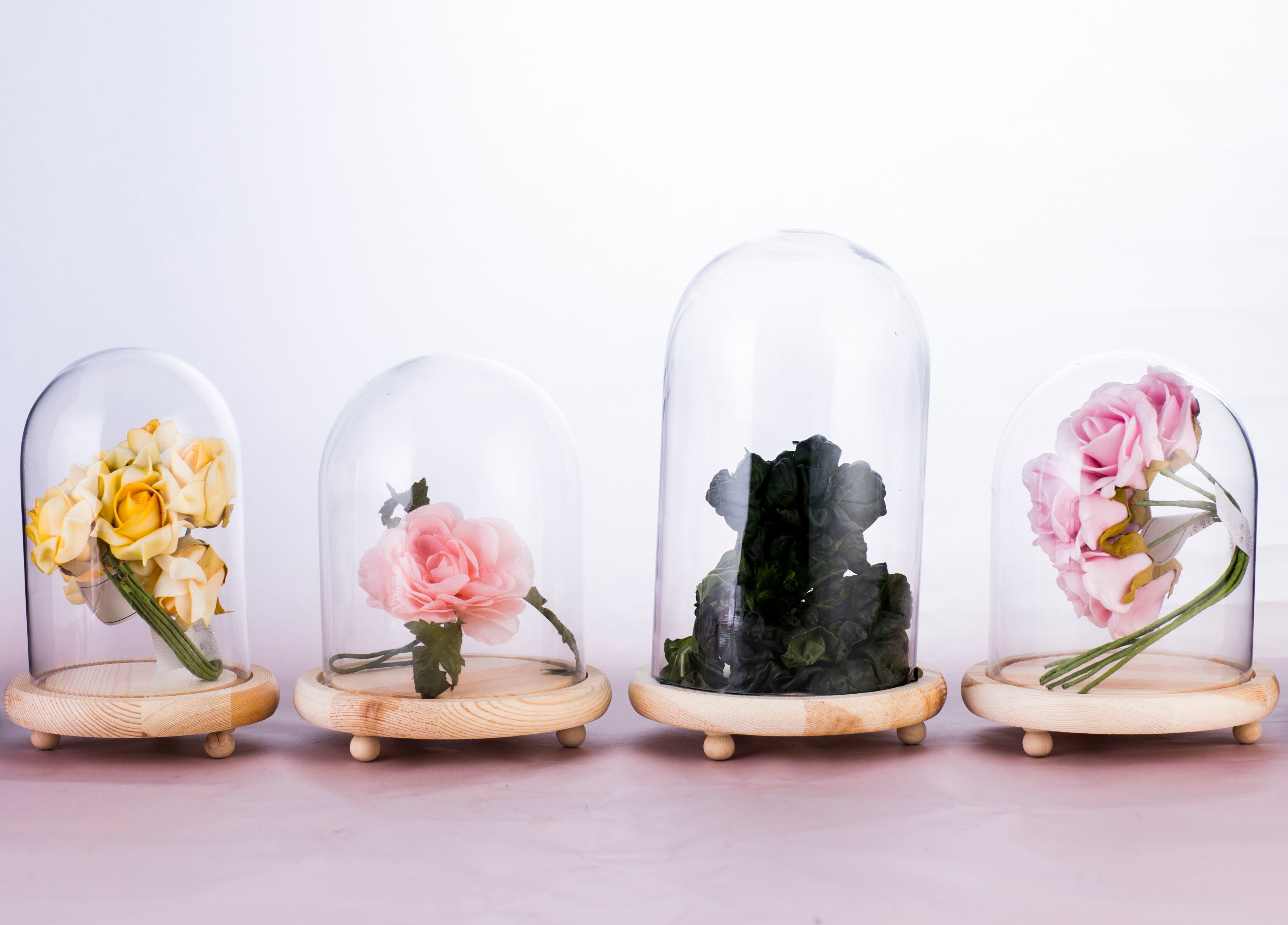Glass dome with wooden base series