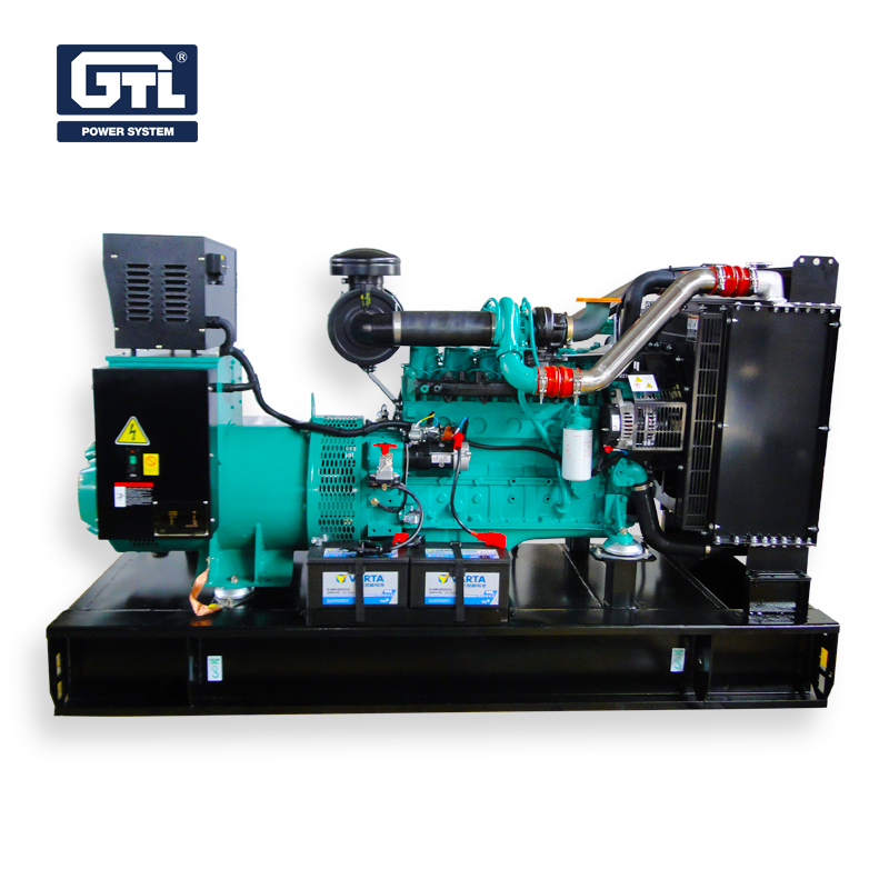 GTL 10 year R&D manufactory Diesel Power Generator