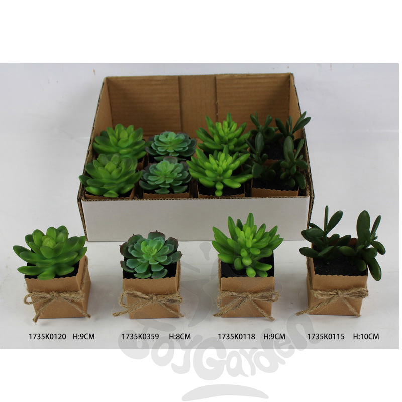 Artificial Succulent in pot