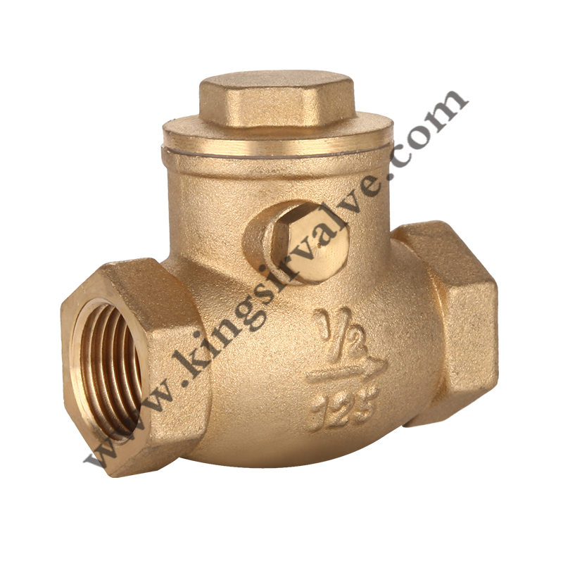 Brass check valve