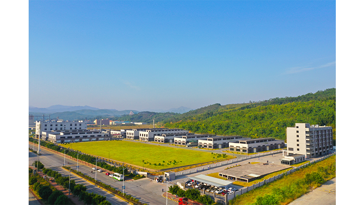 Guangdong Laiya Chemical Co., Ltd. – tire foam brightener 2