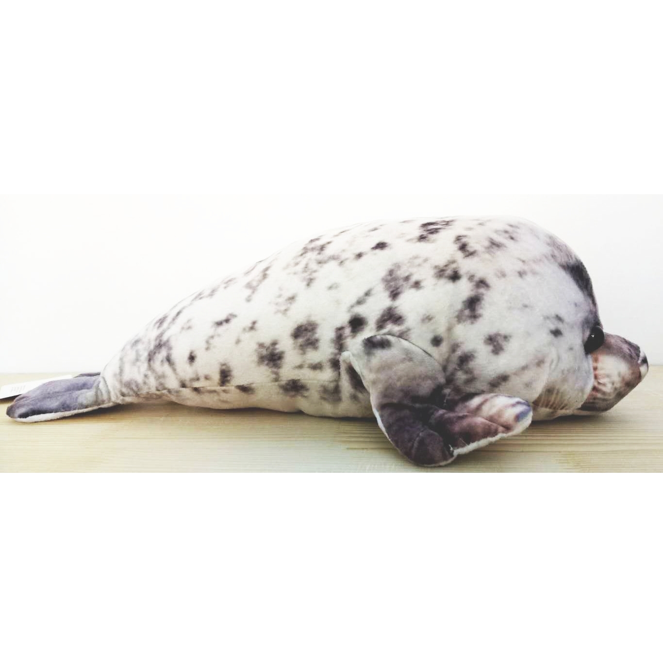 Harbor Seal