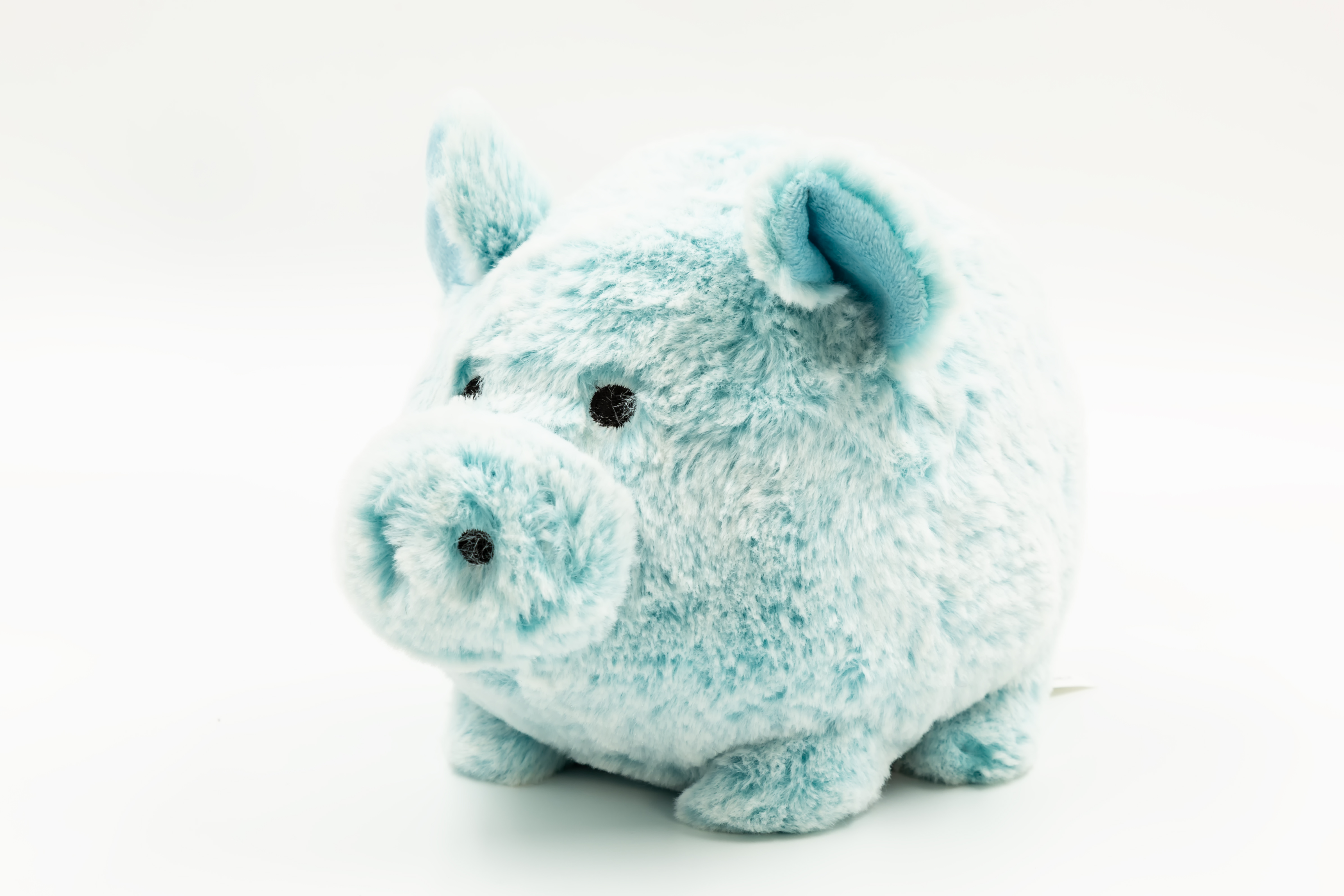 Piggy bank