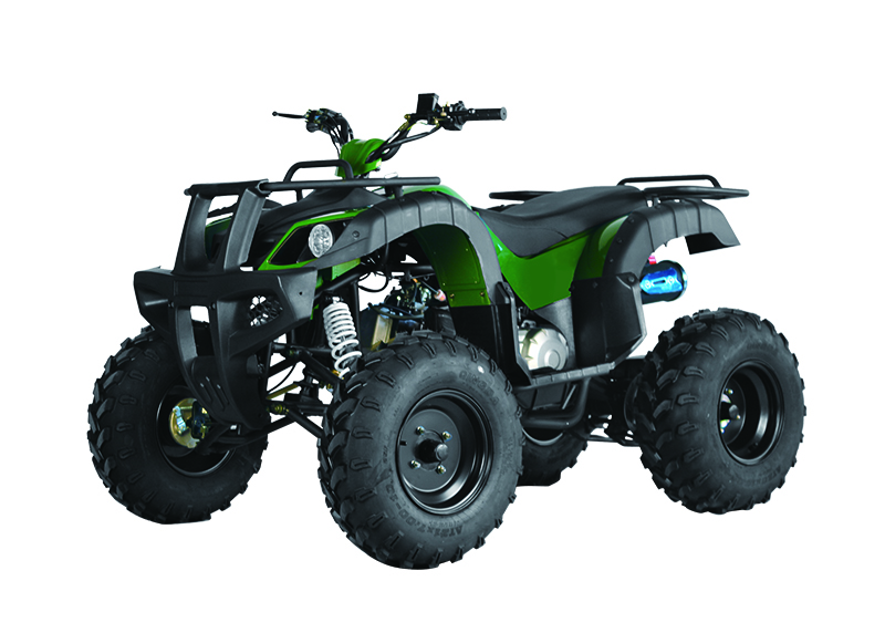 Guangdong Dafu Motorcycle Co., Ltd. – Other ATVs 1
